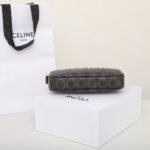 CELINE Triomphe Canvas Camera Bag 23cm Luxury Designer Crossbody Messenger Bag with White Logo & Calfskin Leather 5