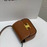 CELINE 2022SS Mini Triomphe Crossbody Bag 11cm Calfskin and Signature Canvas 5