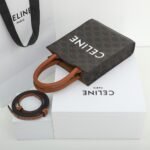 Celine Mini Vertical Cabas Triomphe Canvas Tote Bag 17x21cm Luxury Italian Leather Crossbody Handbag for Women 5