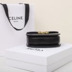 Celine Mini Besace Triomphe Bag 15.5cm Shiny Calfskin Top Handle Saddle Bag Premium Grade Crossbody 6