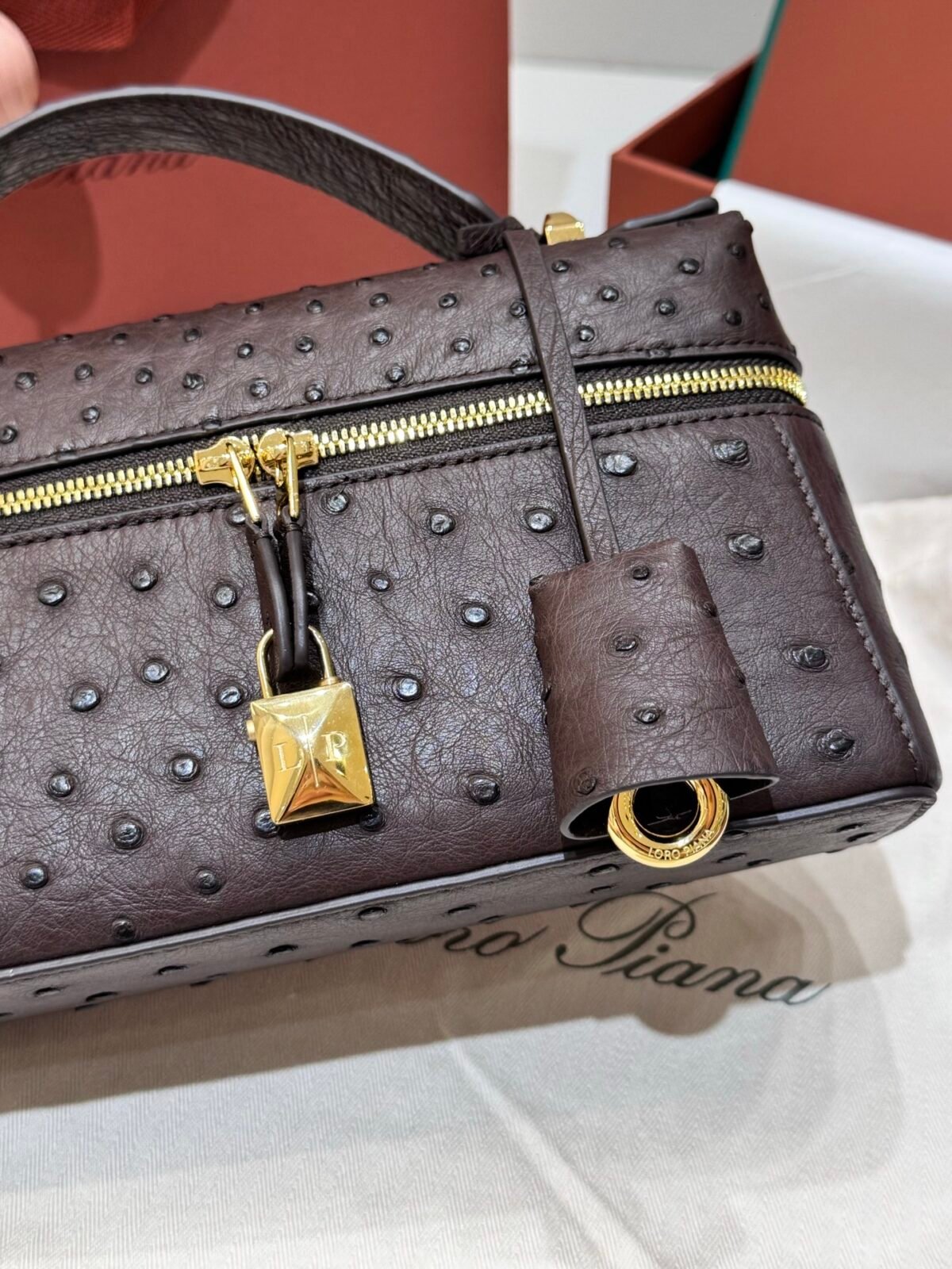 Loro Piana L23 Extra Bag 23cm Ostrich-Effect Calfskin Top-Handle Vanity Bag and Crossbody for Women Loro Piana L23 Extra Bag 23cm Ostrich-Effect Calfskin Top-Handle Vanity Bag and Crossbody for Women