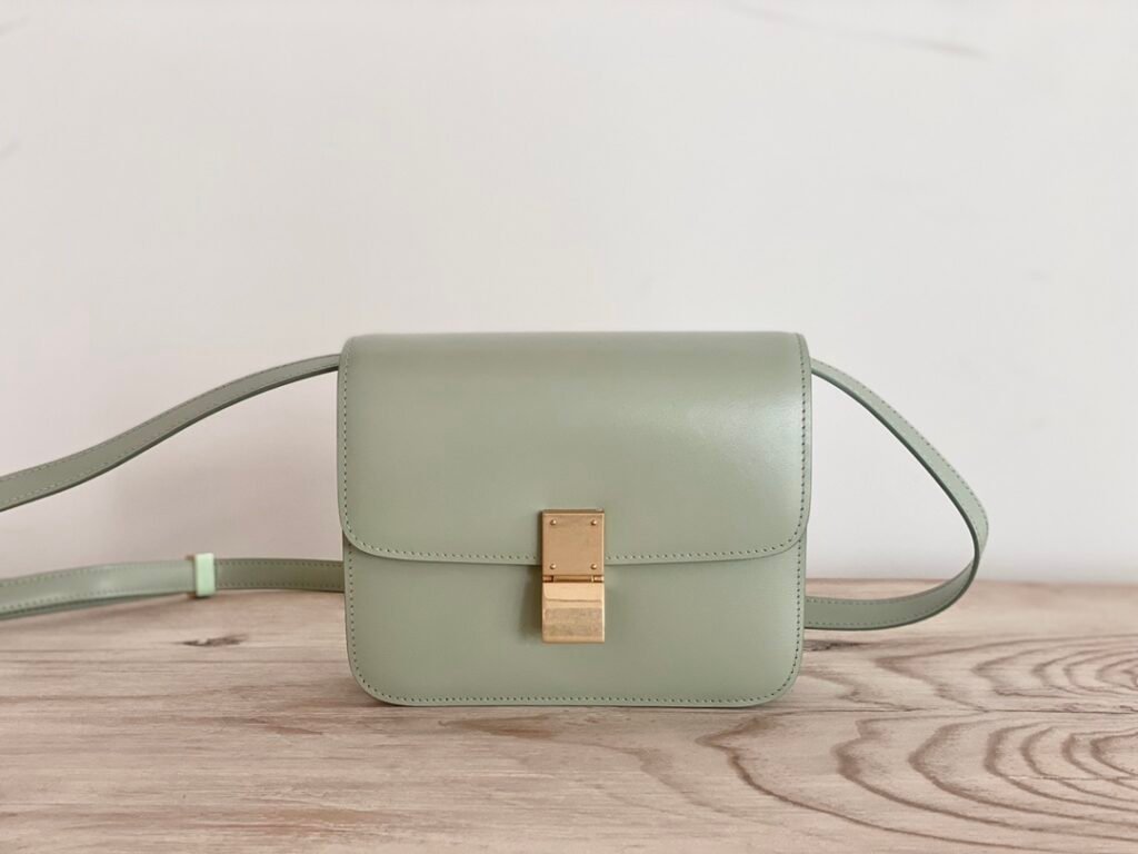Celine Classic Box Bag 18.5cm Teen Size 8 Colors Minimalist Crossbody Polished Calfskin – Image 15