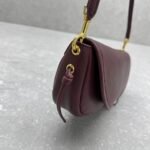Celine Half-Moon Hobo Bag 25cm Triomphe Oil-Waxed Leather Underarm Bag with Gold Hardware