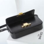 Celine Triomphe Bag Shiny Calfskin Leather Shoulder Bag 5 Colors Smooth Lambskin Crossbody for Women 7