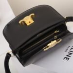 CELINE Teen Besace Triomphe Bag 18.5cm Shiny Calfskin Leather Crossbody Saddle Bag for Women 7