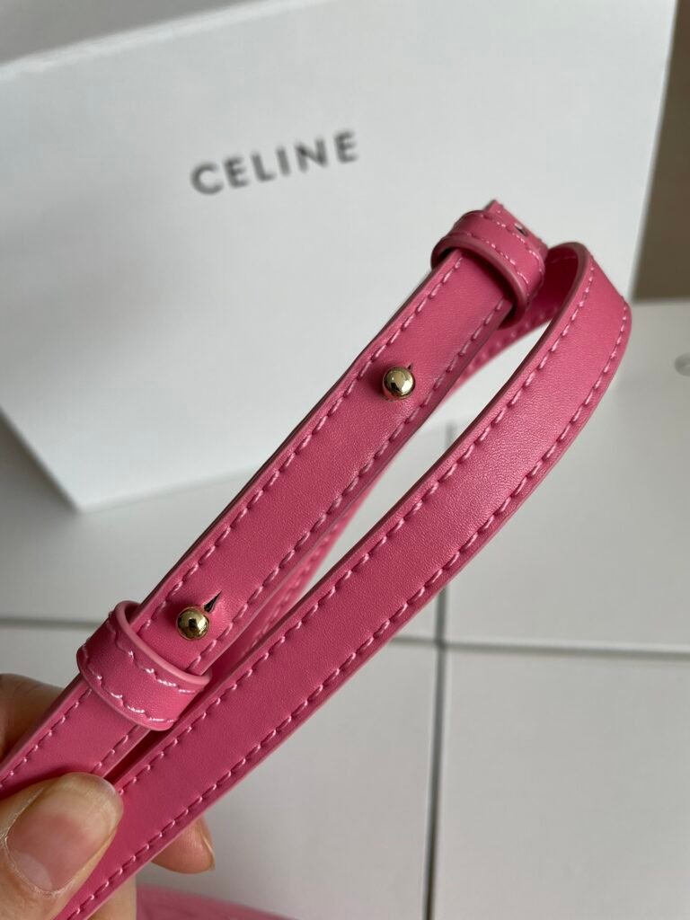 CELINE Triomphe Oval Purse 16cm Smooth Calfskin 6 Colors Small Mooncake Bag &ndash; Image 10