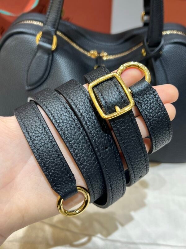 9 Loro Piana Needle Small Bag 5 Colors 31cm Premium Leather Handbag with Adjustable Strap and Internal Pouch