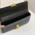 Celine Triomphe 30cm Horizontal Bag Top-Tier Leather Chain Bag for Women Retro Aesthetic Underarm Bag 9