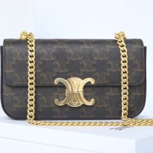 Celine Triomphe Chain Shoulder Bag 20.5cm Canvas and Calfskin Luxury Designer Crossbody for Women 9