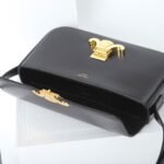 Celine Triomphe Bag Shiny Calfskin Leather Shoulder Bag 5 Colors Smooth Lambskin Crossbody for Women 9