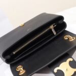 Celine Triomphe Chain Bag 25cm Supple Calfskin and Signature Canvas Medium Flap Shoulder Bag with Gold-Tone Hardware 9